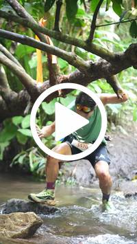 BIB:  <button type="button" onclick="openModal(27824308)" class="btn btn-primary btn-sm float-right" data-toggle="modal" data-target=".modal-high-quality">
                <i class="fa fa-download"></i> Download
                </button>